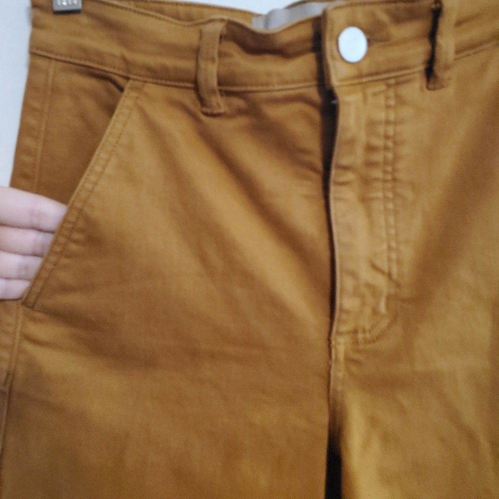 Everlane Cropped Straight Leg Pant Size 2 Regular Granola Retro Minimalism artsy - Picture 5 of 16